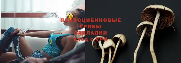 молекула духа Алзамай