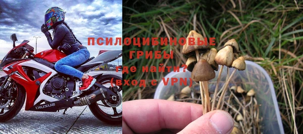 молекула духа Алзамай