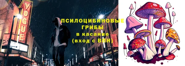 гидра Алексин