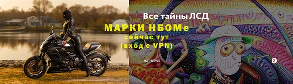 молекула духа Алзамай