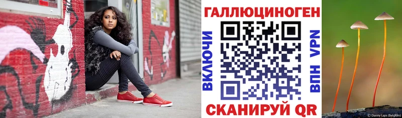 Галлюциногенные грибы Psilocybe  Ступино 