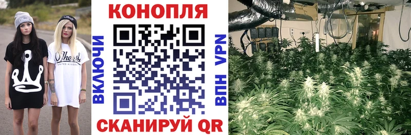 Бошки Шишки Amnesia магазин продажи Ступино
